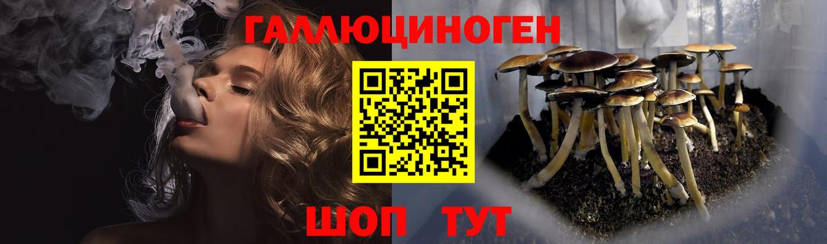 Лыткарино  Галлюциногенные грибы Psilocybine cubensis  Галлюциногенные грибы мицелий  Вход с VPN 